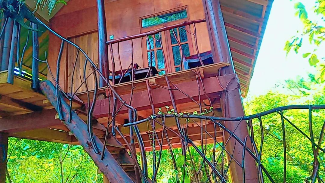 Sigiri Aliya Tree House Hotel Szigirija Kültér fotó