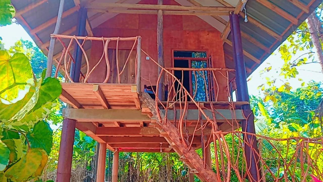 Sigiri Aliya Tree House Hotel Szigirija Kültér fotó
