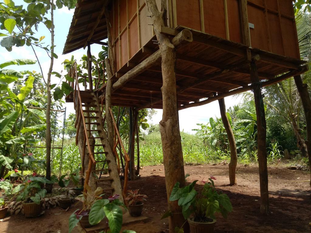 Sigiri Aliya Tree House Hotel Szigirija Kültér fotó