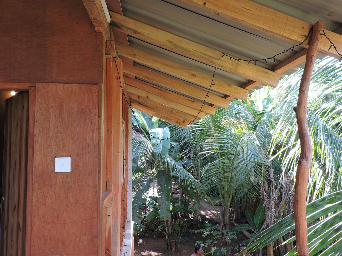 Sigiri Aliya Tree House Hotel Szigirija Kültér fotó