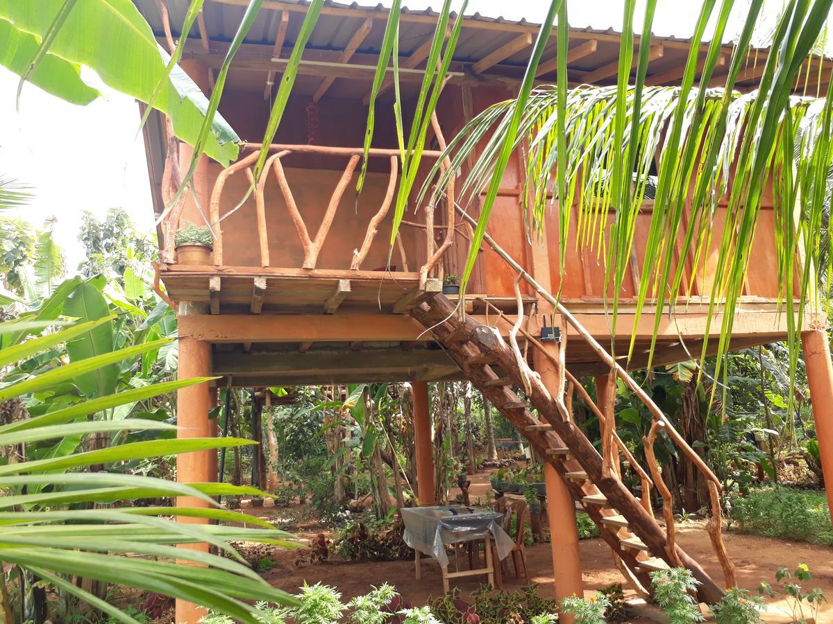 Sigiri Aliya Tree House Hotel Szigirija Kültér fotó