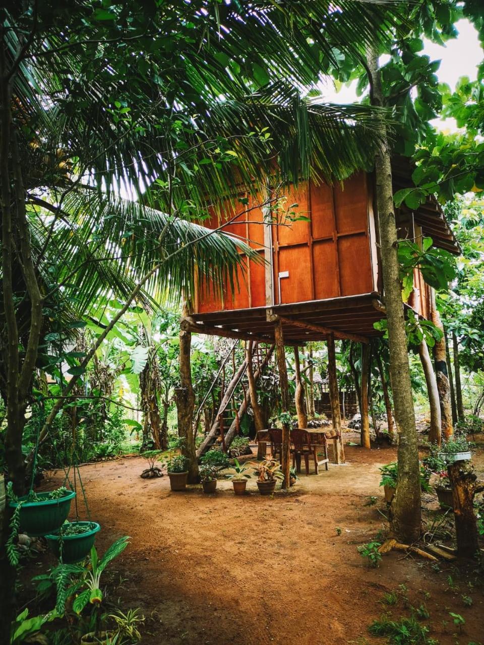 Sigiri Aliya Tree House Hotel Szigirija Kültér fotó